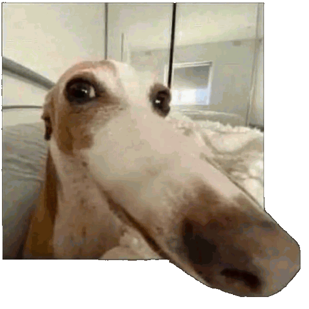 chiengue